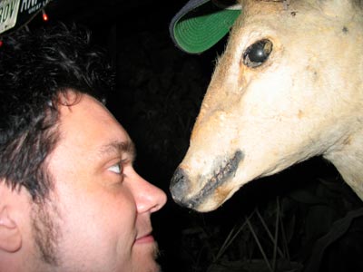 kangaroo face