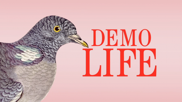 demolife