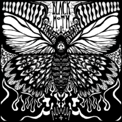 black_moth_band