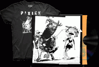pixies_indycindy_vinyl