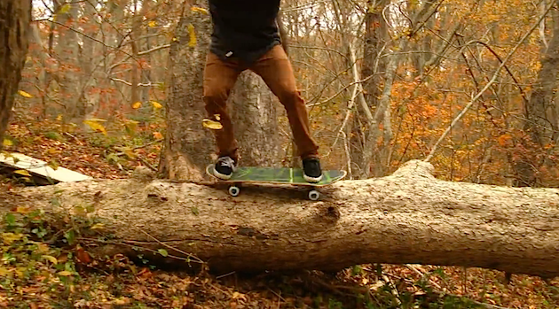 tree_skateboarding_forest
