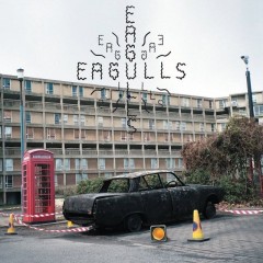 eagulls_album