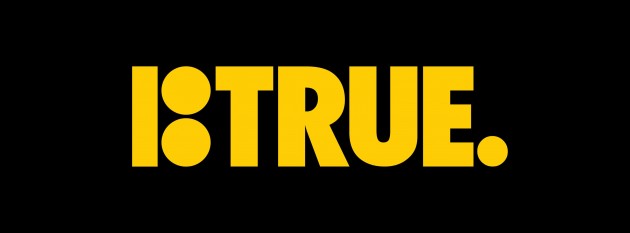 plan_b_true_video_logo_skateboards