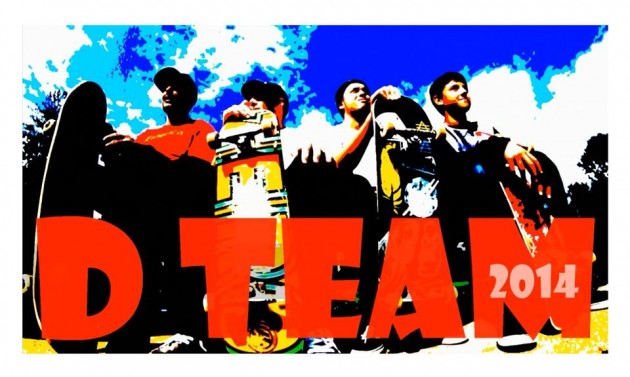 D-team 2014