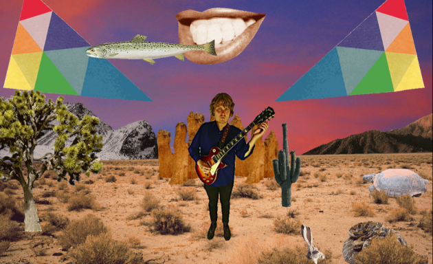 TY_Segall