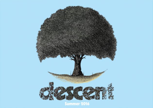 descent_skateboards1